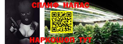 МДПВ Гай