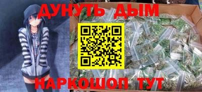 МДПВ Гатчина