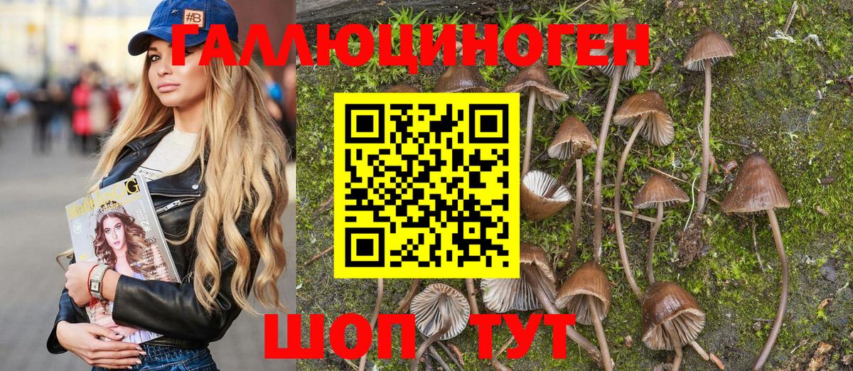 Кунгур  Галлюциногенные грибы GOLDEN TEACHER  Галлюциногенные грибы Psilocybine cubensis  купить наркотик  Вход с VPN 