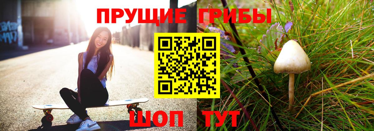 Галлюциногенные грибы Cubensis Кунгур